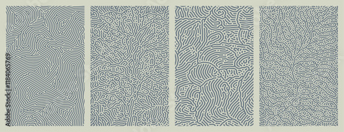 set of organic turing abstract lines pattern background. pack collection design