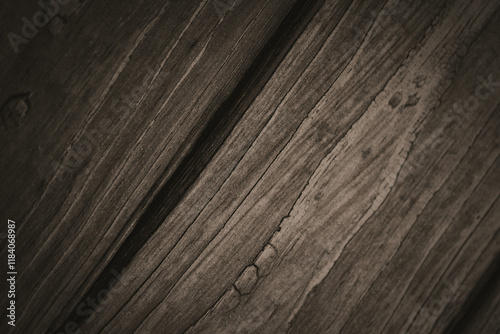 natural texture of burnt wood in design, background, texture for computer games, free space for text, screen saver, wallpapers, horizontal photo