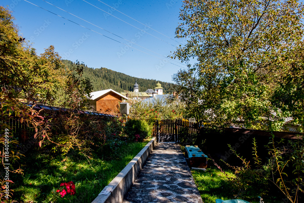 Fototapeta premium wooden bridge