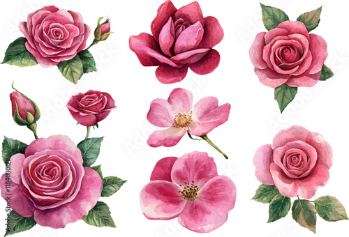 seamless pattern with roses
