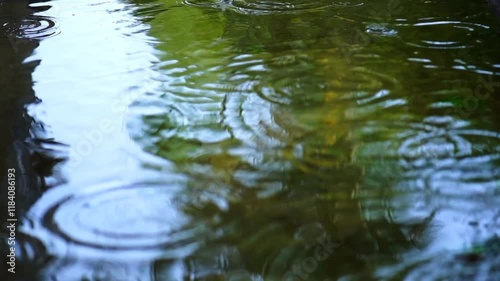 Calm Raindrops Falling on a Tranquil Lake Surface in Nature
