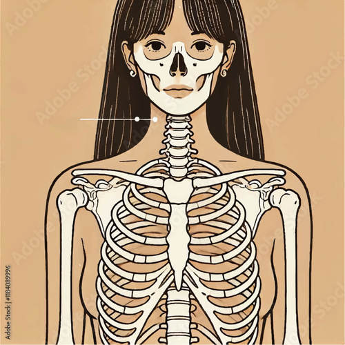 skeleton ray