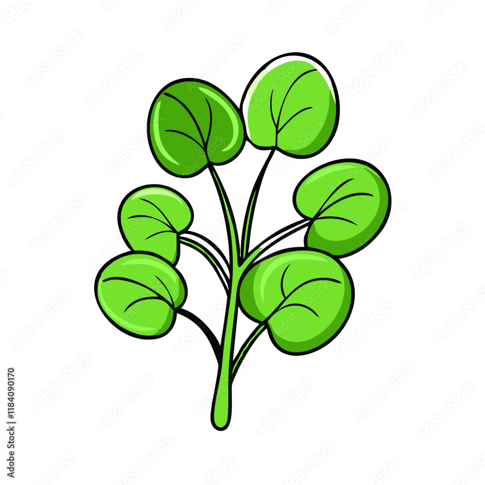 watercress vector icon, vegetables vector illustration - simple illustration of watercress perfect for logos, and vegetables-themed designs. watercress vector icon, vegetables vector illustration - simple illustration of watercress perfect for logos, and vegetables-themed designs.