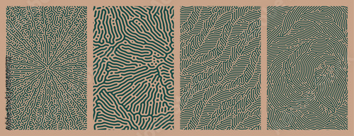 Set of collection abstract green patterns background designs with organic Turing style line patterns