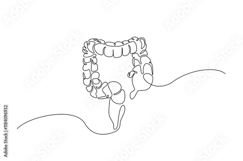 Human organ digestive in continuous one line drawing. Editable vector.