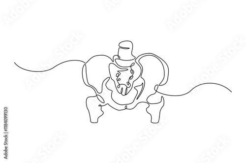Human pelvic bone in continuous one line drawing. Anatomical structure. Editable vector.