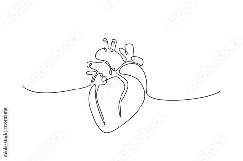 Human heart in continuous one line drawing. anatomical human heart organ illustration. Editable vector.