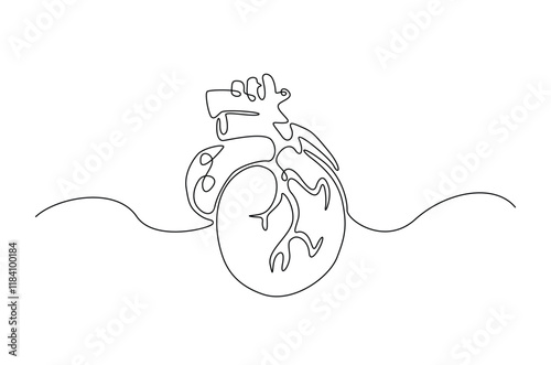 Human heart in continuous one line drawing. anatomical human heart organ illustration. Editable vector.