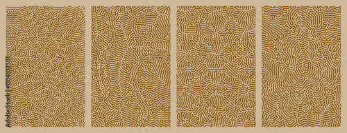 A set collection of brown abstract organic line turing patterns backgrounds