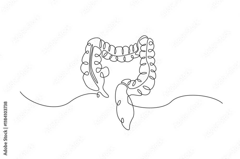 Human organ digestive in continuous one line drawing. Editable vector.