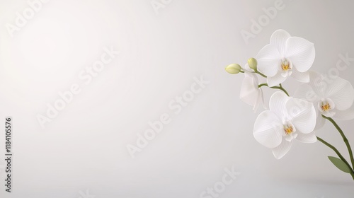 A white cap and a pink orchid evoke a sense of serenity and luxury, reminiscent of a relaxing spa experience.