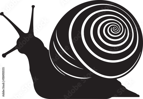 Sea snail silhouette black vector illustration on white background.