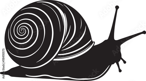 Sea snail silhouette black vector illustration on white background.