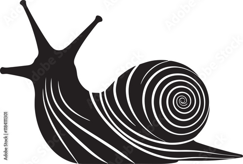 Sea snail silhouette black vector illustration on white background.