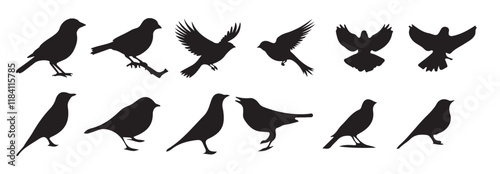 Set of black bird silhouettes. Vector elements for designfly illustration sign collection. nature symbol. photo