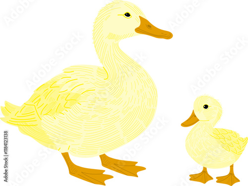 duck and ducklings
