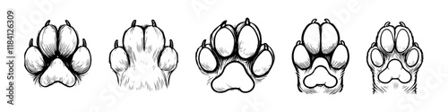 Cat paw set in sketching graphic style. Animal footprint vector illustration