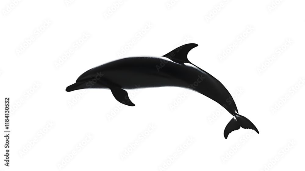 Fototapeta premium dolphin silhouette png