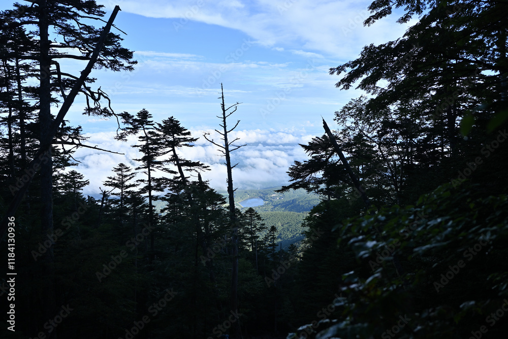 Obraz premium Climbing Mt. Tateshina, Nagano, Japan