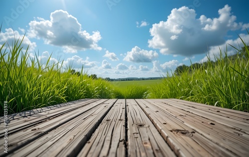 Tranquil Wooden Pathway Through Lush Green Grass Under a Bright Sky