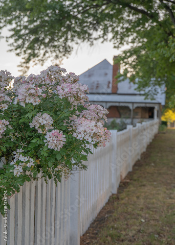 Old historic cottage and country garden