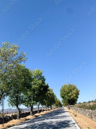 Serene countryside road near Castelo de Vide, Portugal, photo