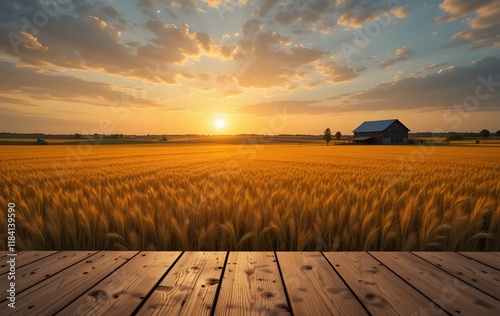 Wooden Podium at Sunset Over a Golden Wheat Field and Rustic Barn