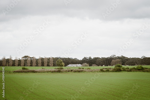 green pastures around rural fam house in the distance photo