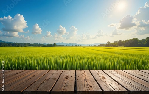 Wooden Podium in a Lush Green Rice Paddy Field