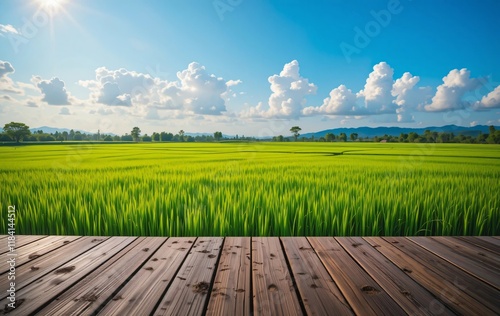 Wooden Podium in a Lush Green Rice Paddy Field