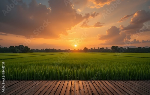 Wooden Podium in a Rice Paddy Field at Sunset