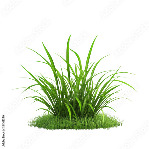 Lush green grass clump with vibrant blades