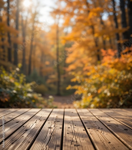 Wooden Podium in an Autumn Forest