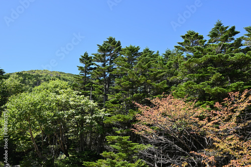 Climbing Mt. Tateshina, Nagano, Japan photo