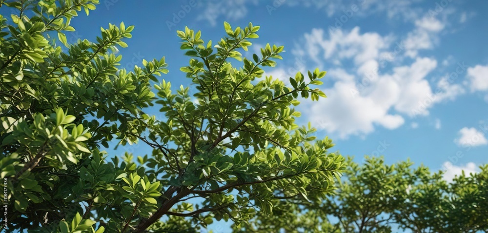 Fresh green foliage of a bush against a clear blue sky , woodlands, evergreen trees, outdoor photography Fresh green foliage of a bush against a clear blue sky , woodlands, evergreen trees, outdoor photography