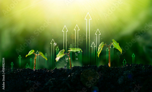 Concept of business growth,profit, development and success. Young plants increase on sunny background.Growing money,finance and investment.	
 photo