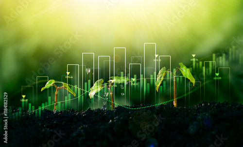 Concept of business growth,profit, development and success. Young plants increase on sunny background.Growing money,finance and investment.	
