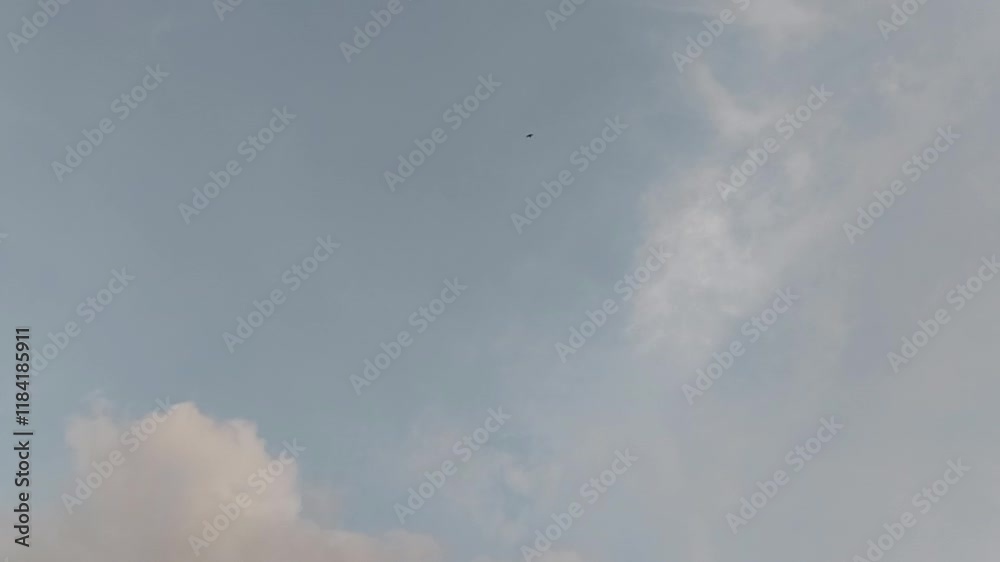 Blue sky white clouds. Puffy fluffy white clouds. Cumulus cloud cloudscape timelapse. Rainy season blue sky time lapse. Nature weather blue sky. Cloud time lapse Blue sky white clouds. Puffy fluffy white clouds. Cumulus cloud cloudscape timelapse. Rainy season blue sky time lapse. Nature weather blue sky. Cloud time lapse