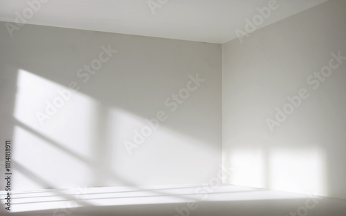 Sunlight from the window shines on the empty room walls and floor