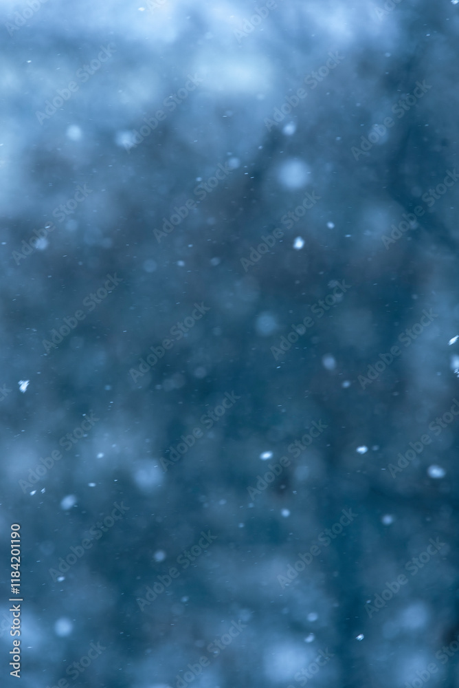 Fototapeta premium Abstract Snowflakes with Blurred Tree Branches – Winter Atmosphere, abstract, out of focus