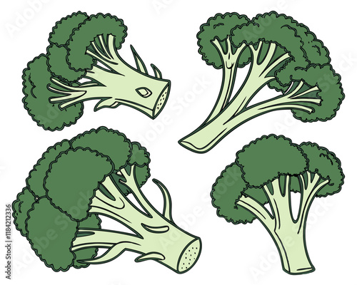 Broccoli set isolated on white background. Healthy and vegan food concept.Illustration of Broccoli - Fresh and Healthy Vegetable Art.