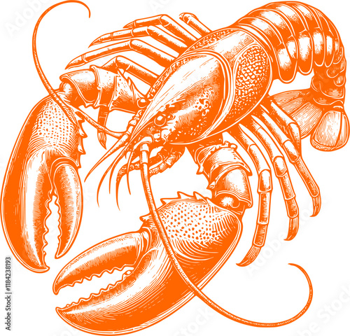 Crayfish, lobster on a white background vector art