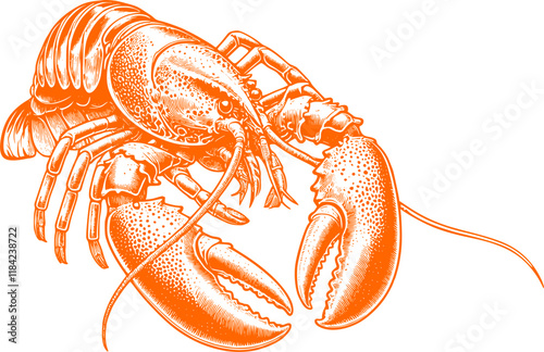 Crayfish, lobster on a white background vector art