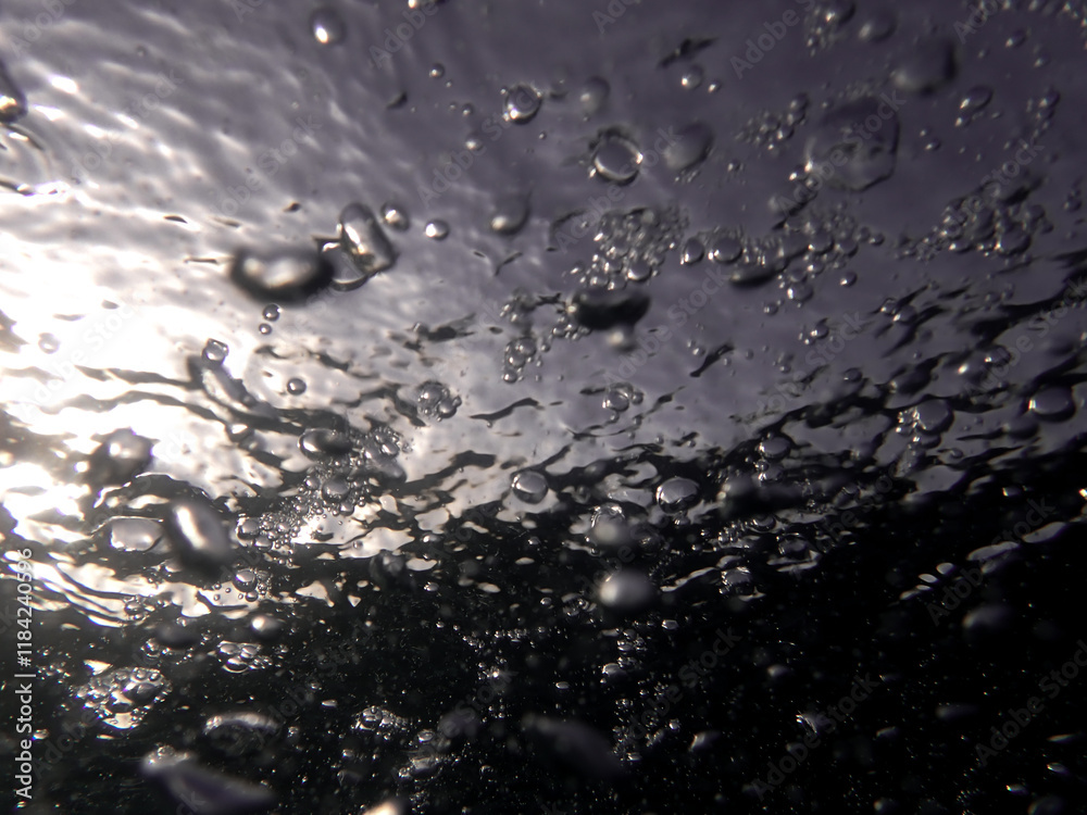 bubble, underwater, bubbles, water, sea, under, aquatic, blue, ocean, clear, background, air, surface, liquid, undersea, abstract, clean transparent, bubbling, marine tropical, deep, sun, drop splash bubble, underwater, bubbles, water, sea, under, aquatic, blue, ocean, clear, background, air, surface, liquid, undersea, abstract, clean transparent, bubbling, marine tropical, deep, sun, drop splash
