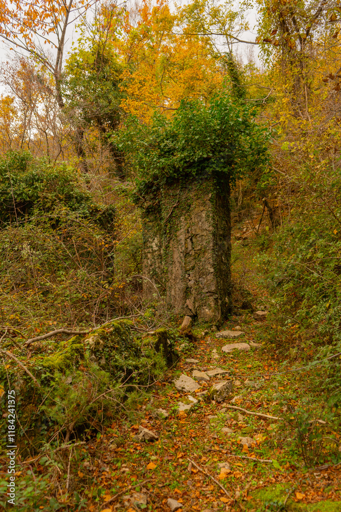 Obraz premium Fantasy ancient stone walls covered with moss