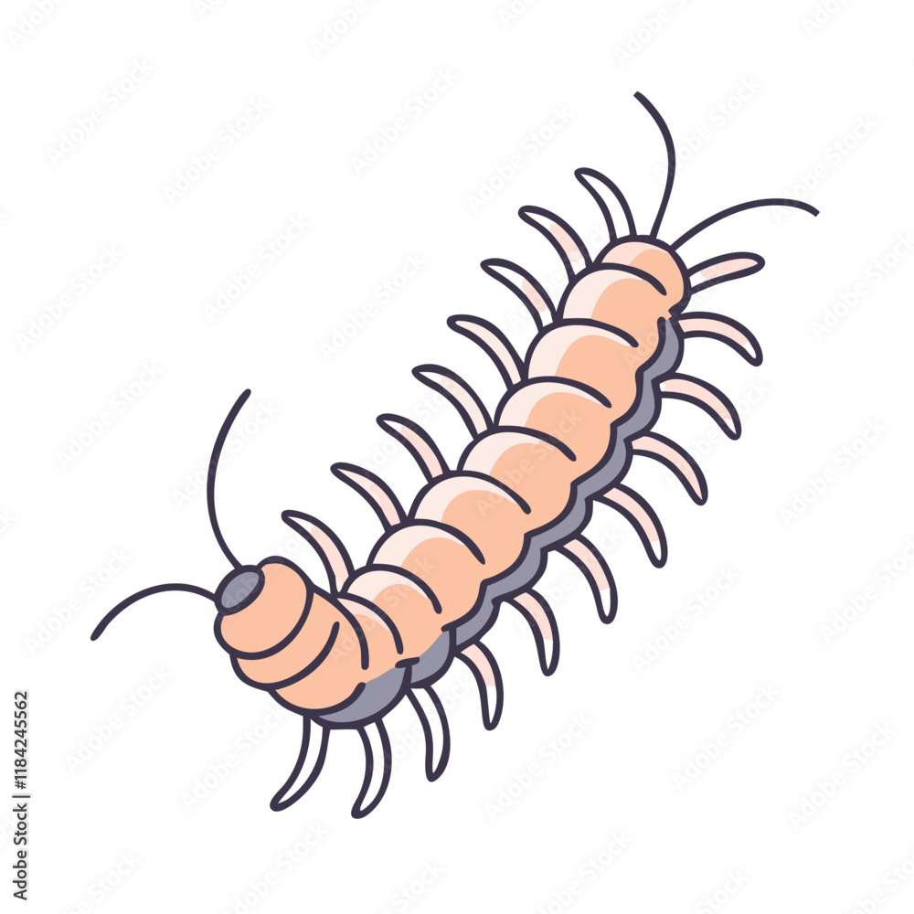 centipede vector icon, animals vector illustration - simple illustration of centipede perfect for logos, and animals-themed designs. centipede vector icon, animals vector illustration - simple illustration of centipede perfect for logos, and animals-themed designs.