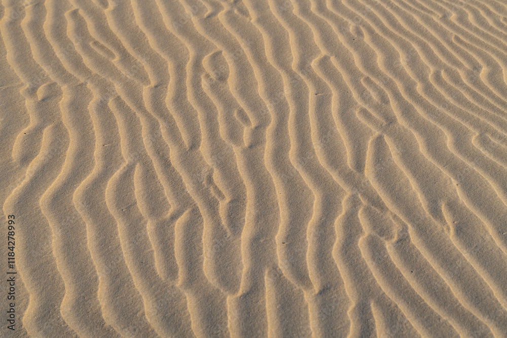 Sand in a wave pattern on the beach of the Mediterranean Sea at Habonim Beach Nature Reserve in Israel.
Sand in a wave pattern on the beach of the Mediterranean Sea at Habonim Beach Nature Reserve in Israel.