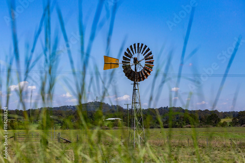 Windmill in farm paddock  seen through foreground of long grass stalks photo