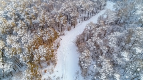 Aerial view of a snow-covered forest with a road. Winter landscape captured by a drone, showcasing dense trees and a narrow asphalt path from above.