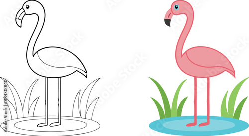 Flamingo Coloring Page Bird Illustration, Wetland Habitat, Pink Feathers